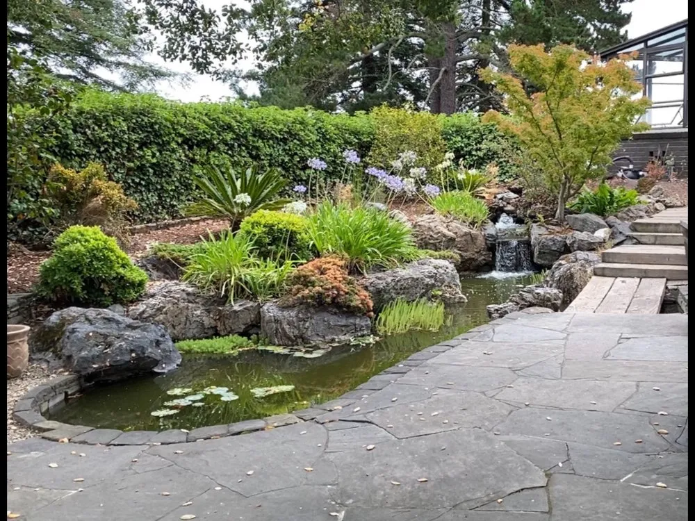 Top-rated lawn care service for year-round maintenance across El Cerrito, CA - Pond Revival