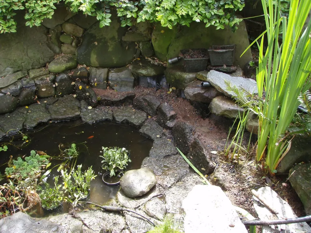 Local yard maintenance for beautiful yards across El Cerrito, CA - Pond Revival