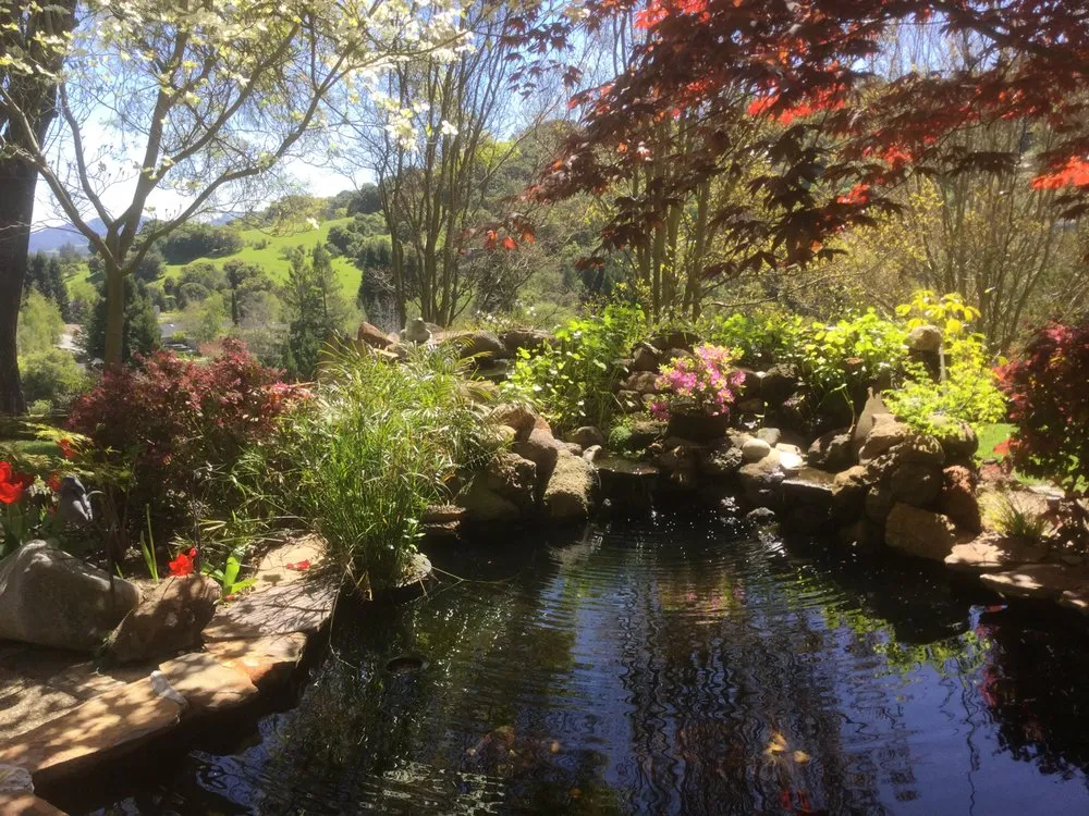 Custom landscape installation in El Cerrito, CA by Pond Revival