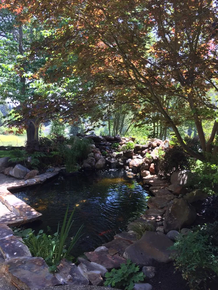 Top-rated landscape installation in El Cerrito, CA - Pond Revival