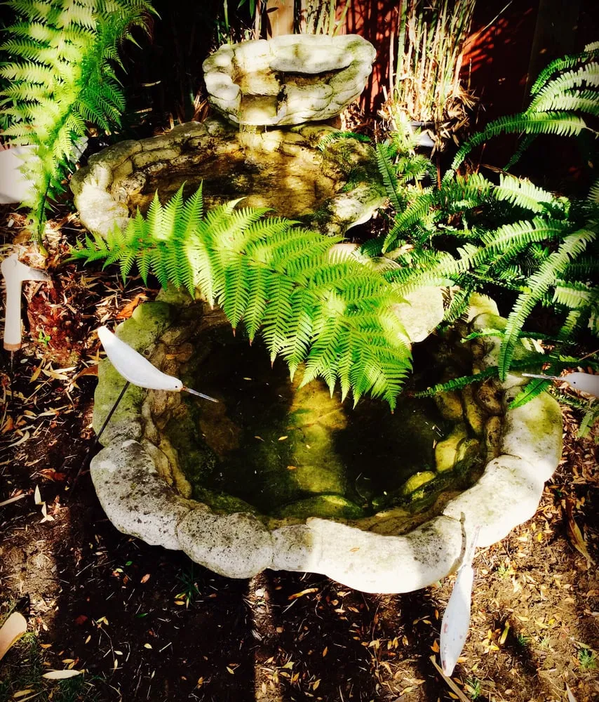 Professional landscape design for year-round maintenance across El Cerrito, CA - Pond Revival