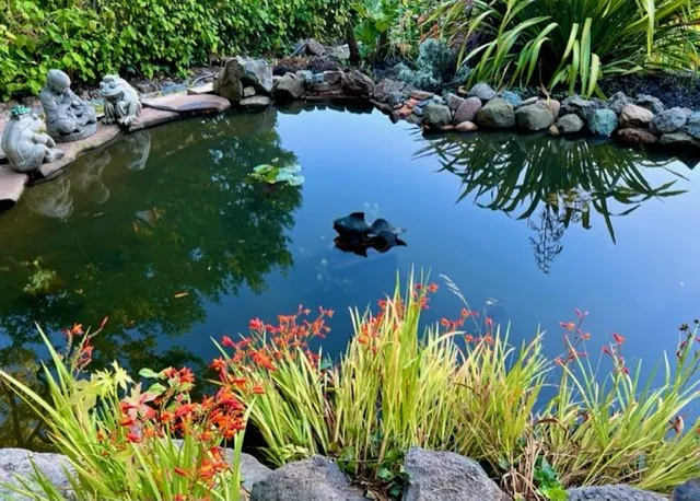 Top-rated residential landscaping experts serving El Cerrito, CA - Pond Revival
