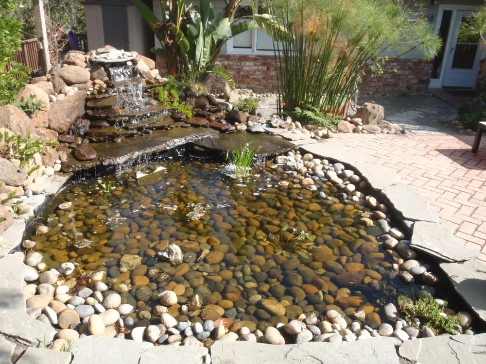 Affordable landscaping services for homes across El Cerrito, CA - Pond Revival