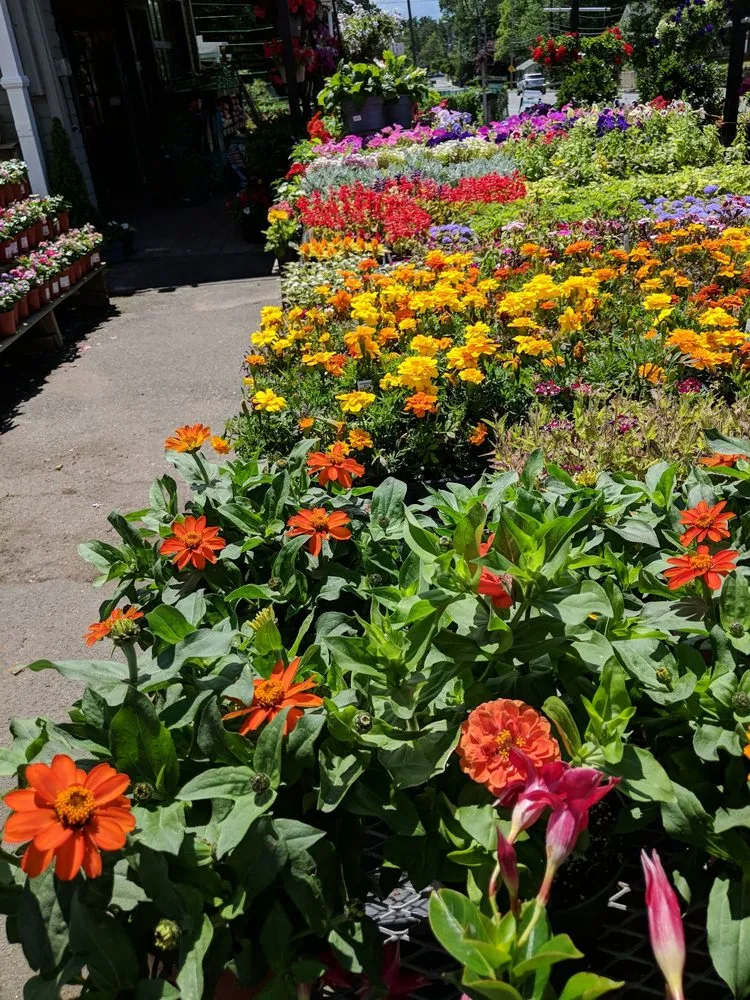 Trusted yard cleanup service for year-round maintenance across Woburn, MA - Pond View Gardens