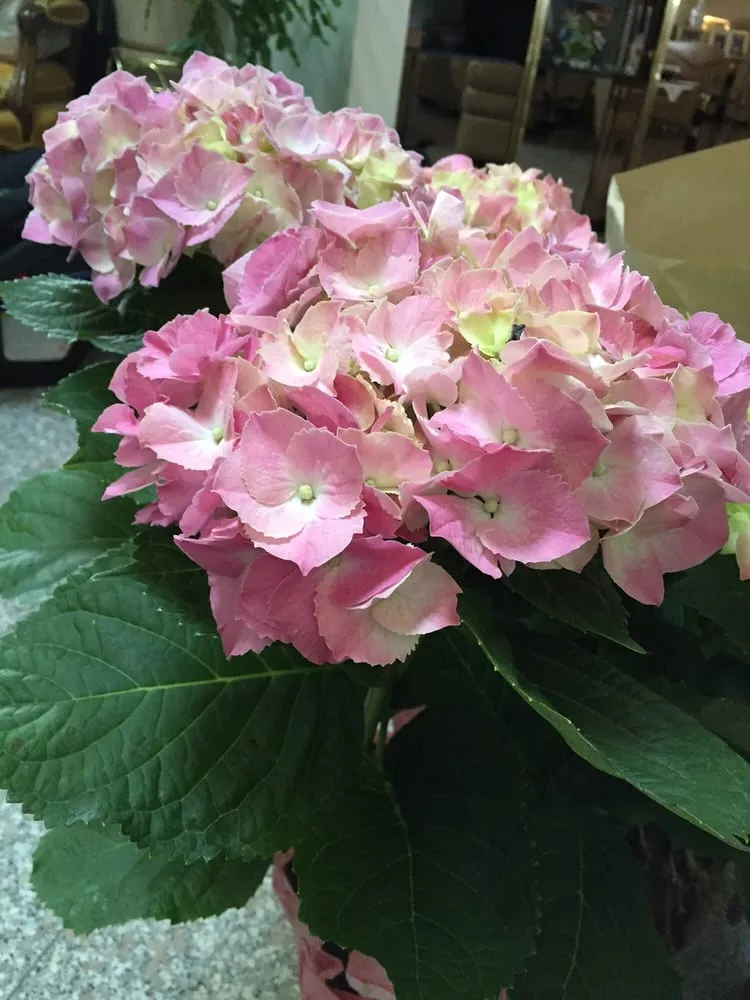 Professional landscape design experts serving Woburn, MA - Pond View Gardens