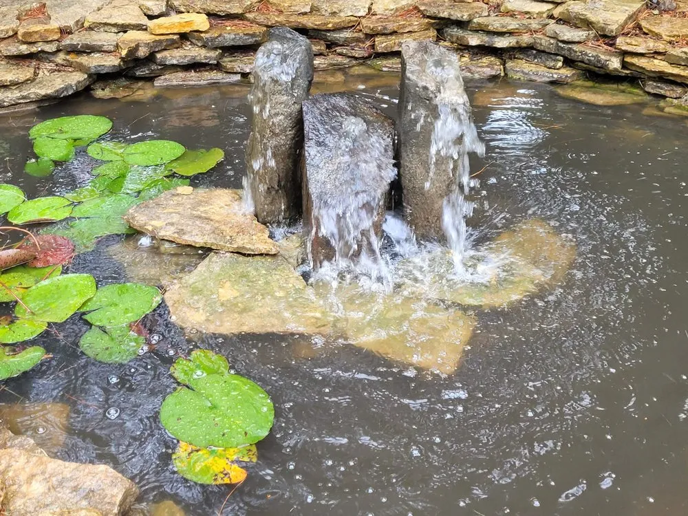 Professional yard maintenance experts serving North Canton, OH - Pond Wiser