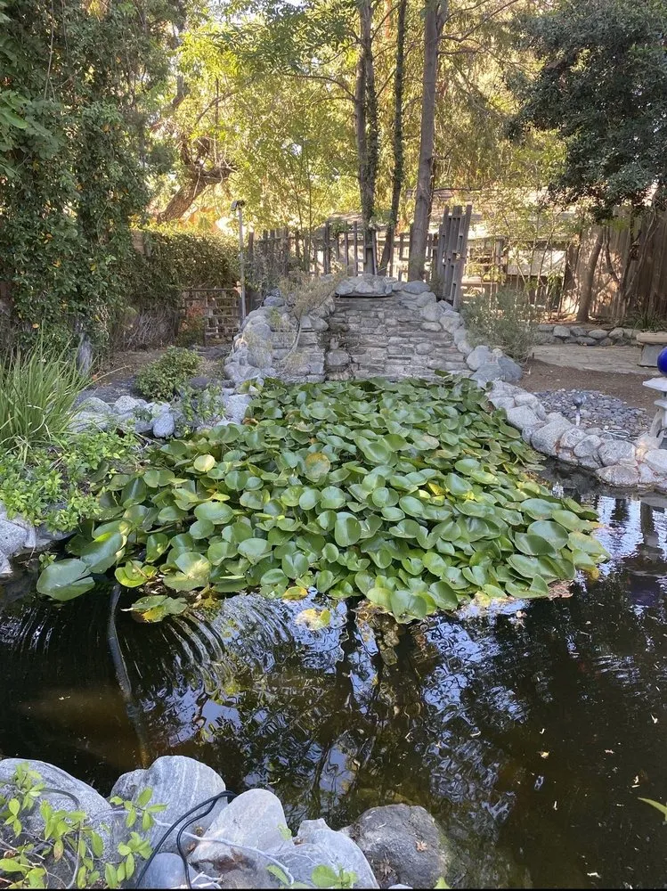 Professional outdoor landscaping for year-round maintenance in Los Angeles, CA by Pond Works