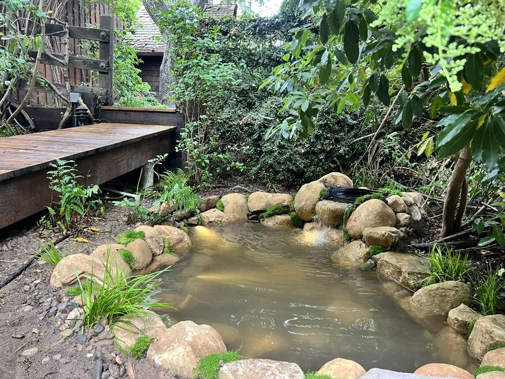 Professional yard cleanup service in Los Angeles, CA - Pond Works