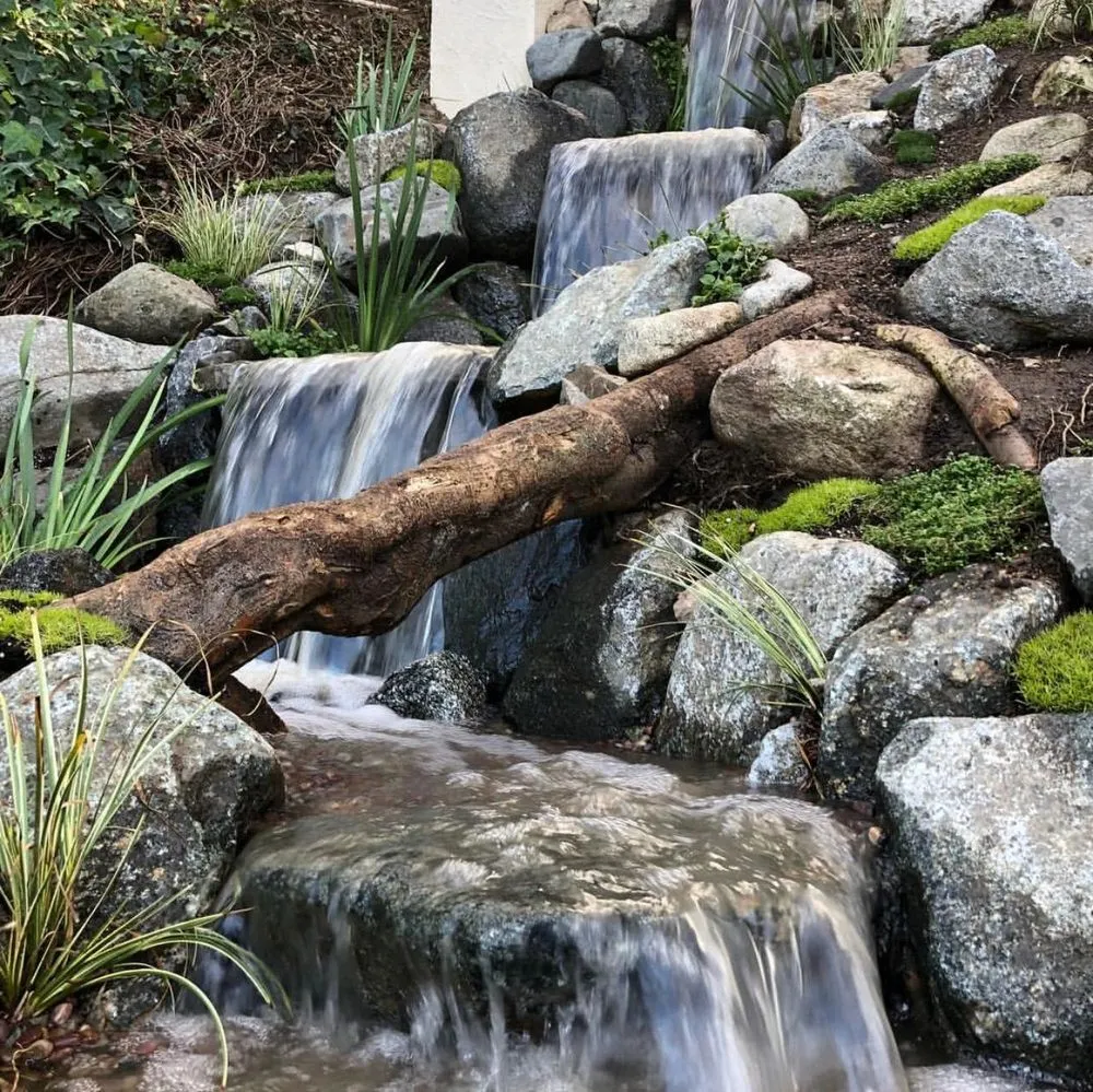 Expert outdoor landscaping for beautiful yards across Los Angeles, CA - Pond Works