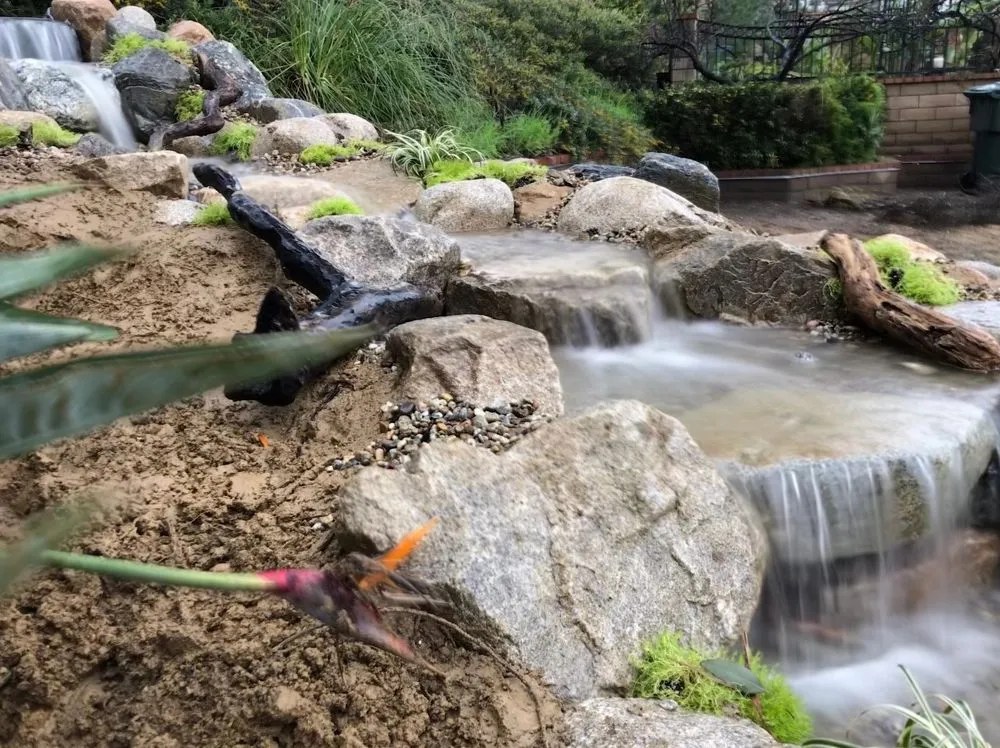 Expert yard maintenance for homes across Los Angeles, CA - Pond Works