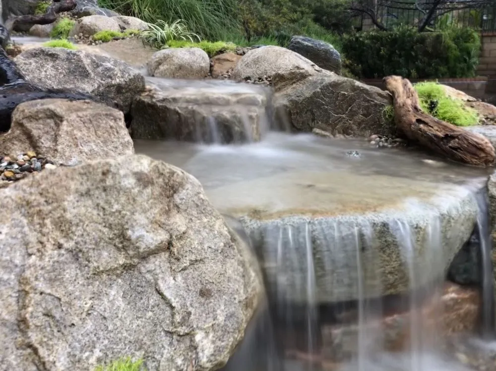 Reliable landscape design in Los Angeles, CA by Pond Works