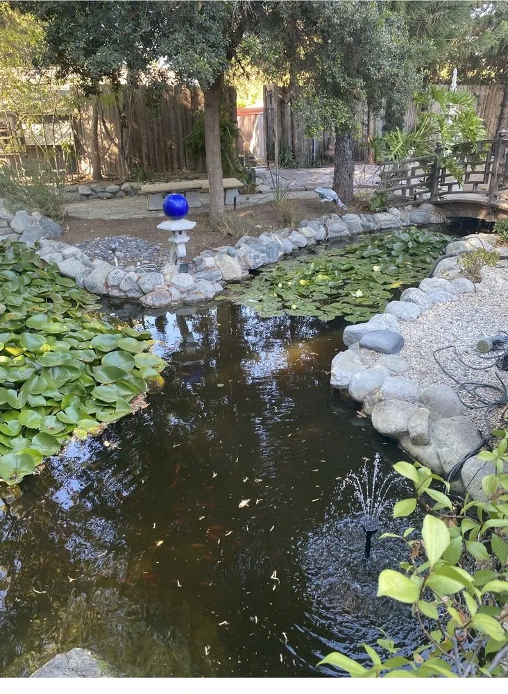 Top-rated residential landscaping in Los Angeles, CA by Pond Works