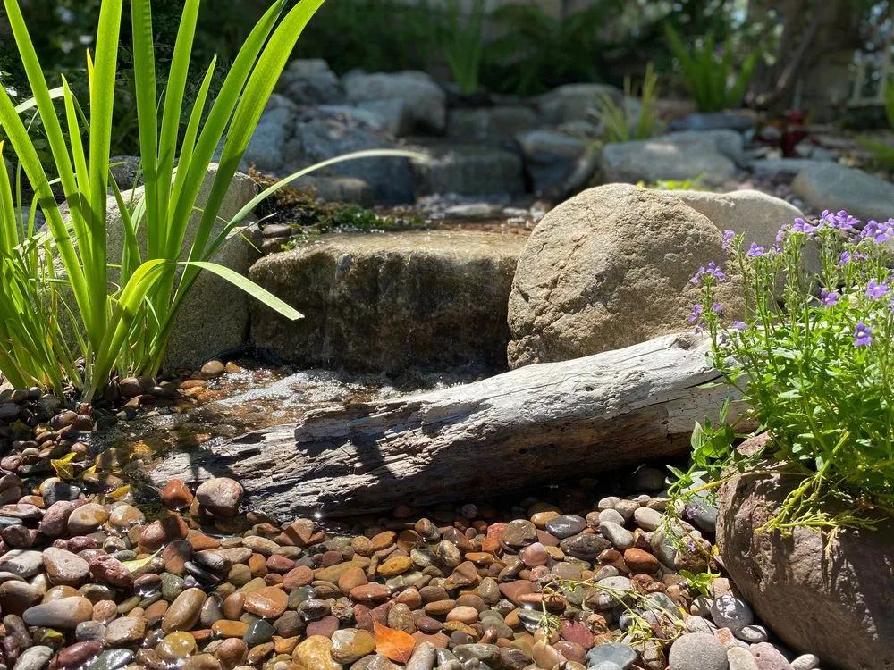 Trusted lawn mowing service in Los Angeles, CA - Pond Works