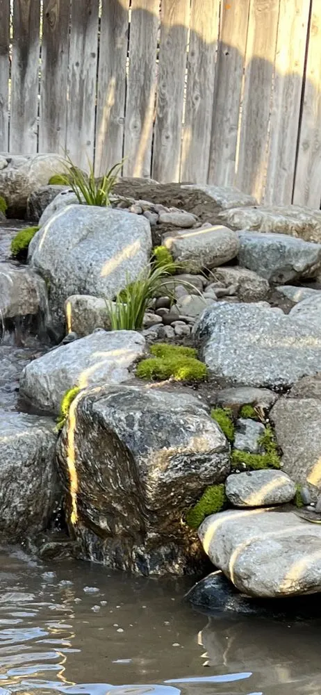 Top-rated yard cleanup service in Los Angeles, CA - Pond Works