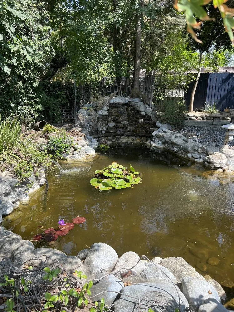 Local landscaping services for year-round maintenance in Los Angeles, CA by Pond Works