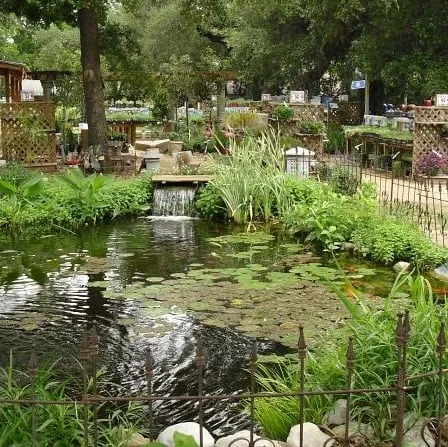 Affordable residential landscaping for outdoor upgrades in San Antonio, TX by Pondcare of San Antonio