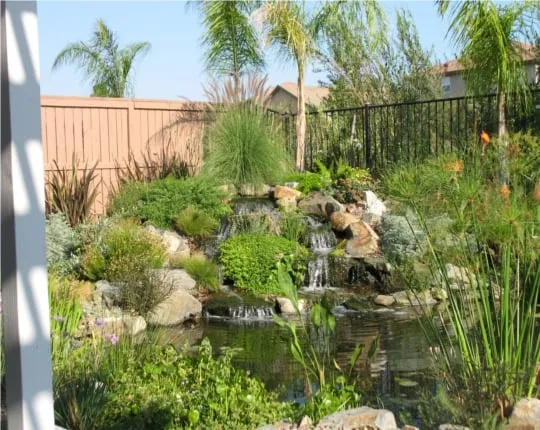 Custom lawn care service in Indian Wells, CA by Ponderiffic Adventures