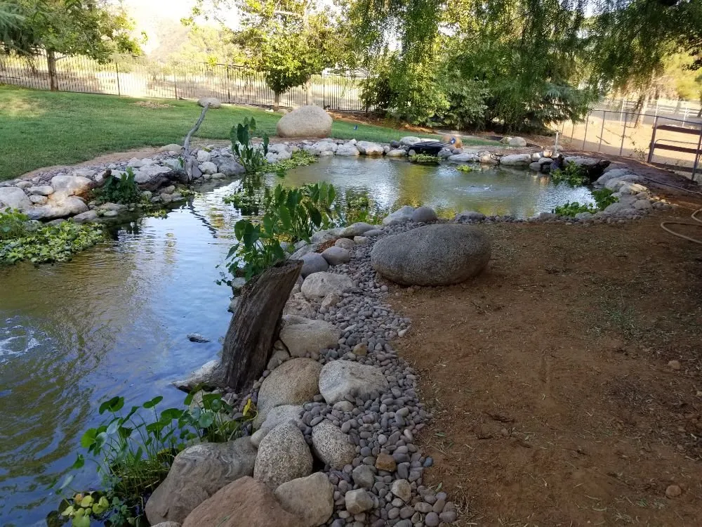 Professional residential landscaping in Indian Wells, CA - Ponderiffic Adventures