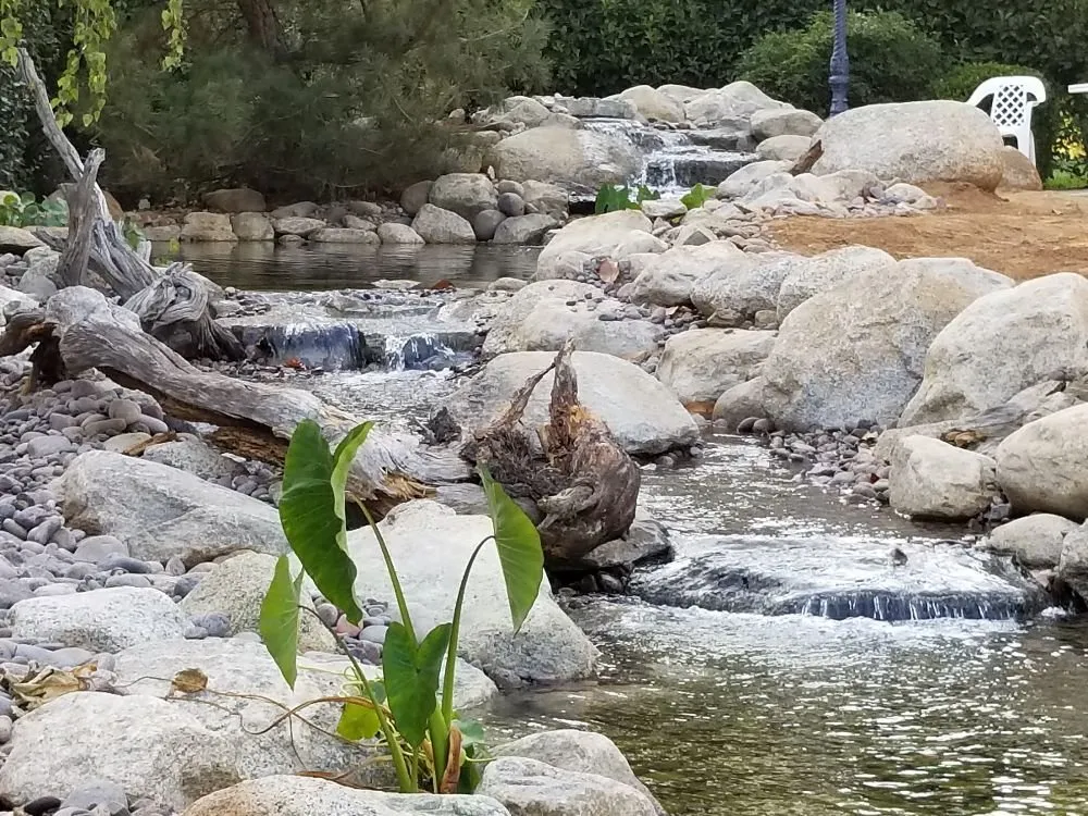 Trusted outdoor landscaping in Indian Wells, CA - Ponderiffic Adventures