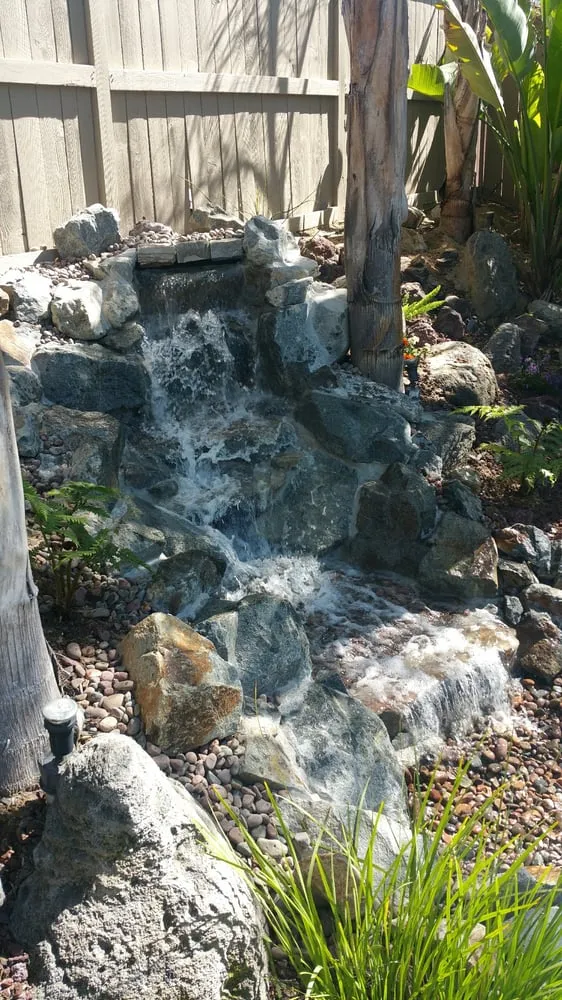 Affordable yard cleanup service in Indian Wells, CA - Ponderiffic Adventures