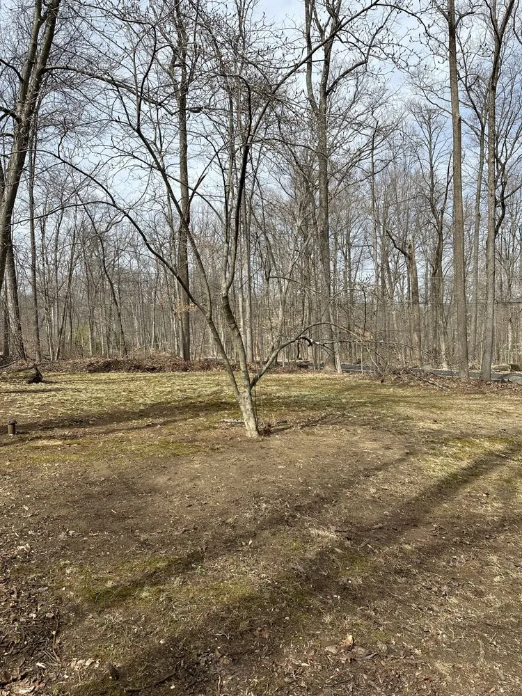 Professional residential landscaping experts serving Pennsburg, PA - Ponderosa land Services