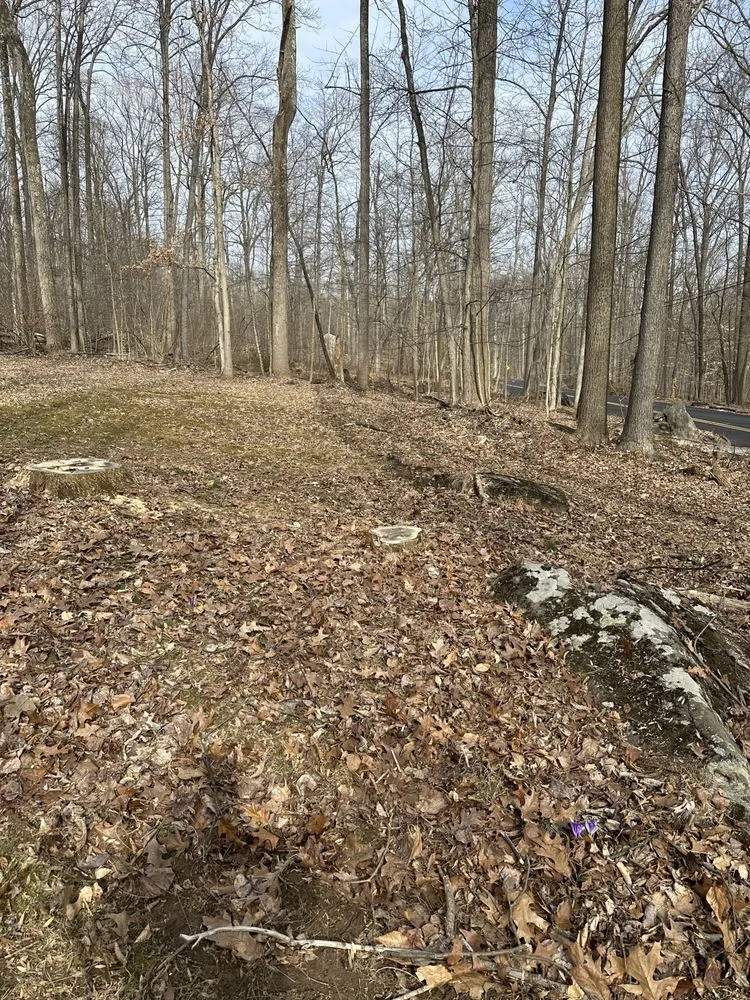 Custom yard cleanup service for residential properties across Pennsburg, PA - Ponderosa land Services