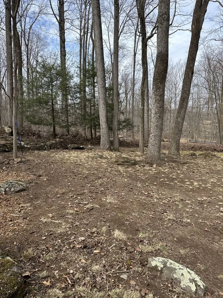 Reliable landscaping services near you in Pennsburg, PA by Ponderosa land Services