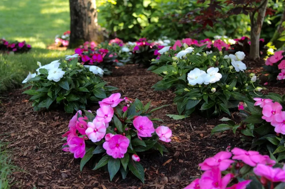 Top-rated landscape installation for residential properties in Eastham, MA by Ponderosa Landscaping