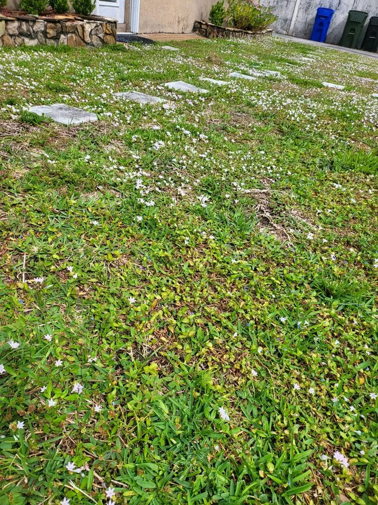 Trusted landscape installation in Oakland Park, FL - Ponderosa Landscaping