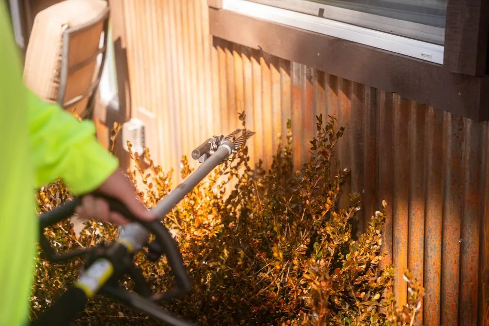 Expert outdoor landscaping near you across Flagstaff, AZ - Ponderosa Pathways