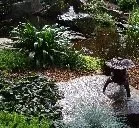 Professional residential landscaping for homes across Harrisburg, NC - Ponders