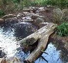 Affordable outdoor landscaping experts serving Harrisburg, NC - Ponders