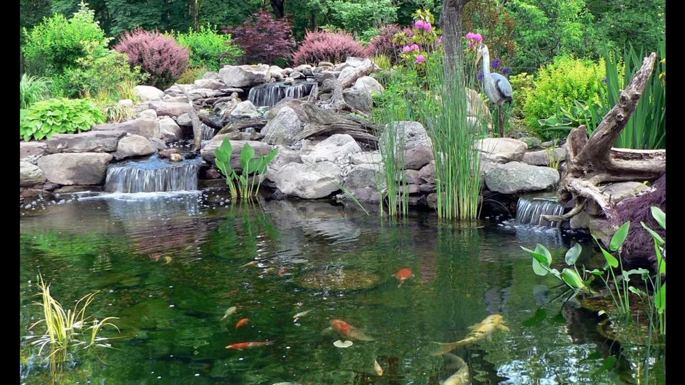 Trusted outdoor landscaping in Louisville, KY - Ponds & Beyond