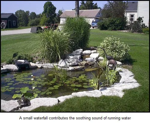 Professional lawn care service in Colgate, WI by Ponds & Paradise