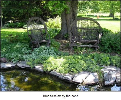 Reliable landscape design for outdoor upgrades across Colgate, WI - Ponds & Paradise