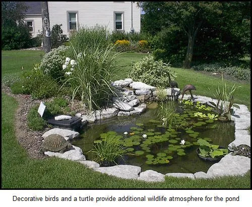 Professional landscaping services in Colgate, WI - Ponds & Paradise
