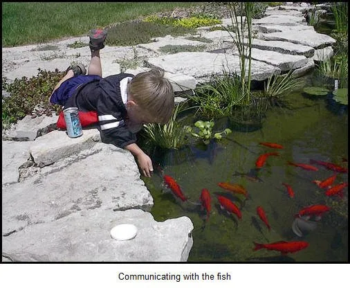 Expert garden landscaping for outdoor upgrades across Colgate, WI - Ponds & Paradise