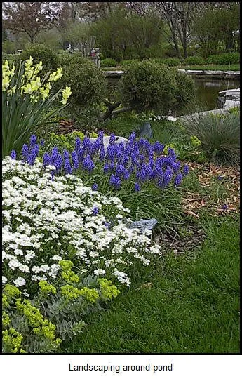 Local outdoor landscaping for outdoor upgrades across Colgate, WI - Ponds & Paradise