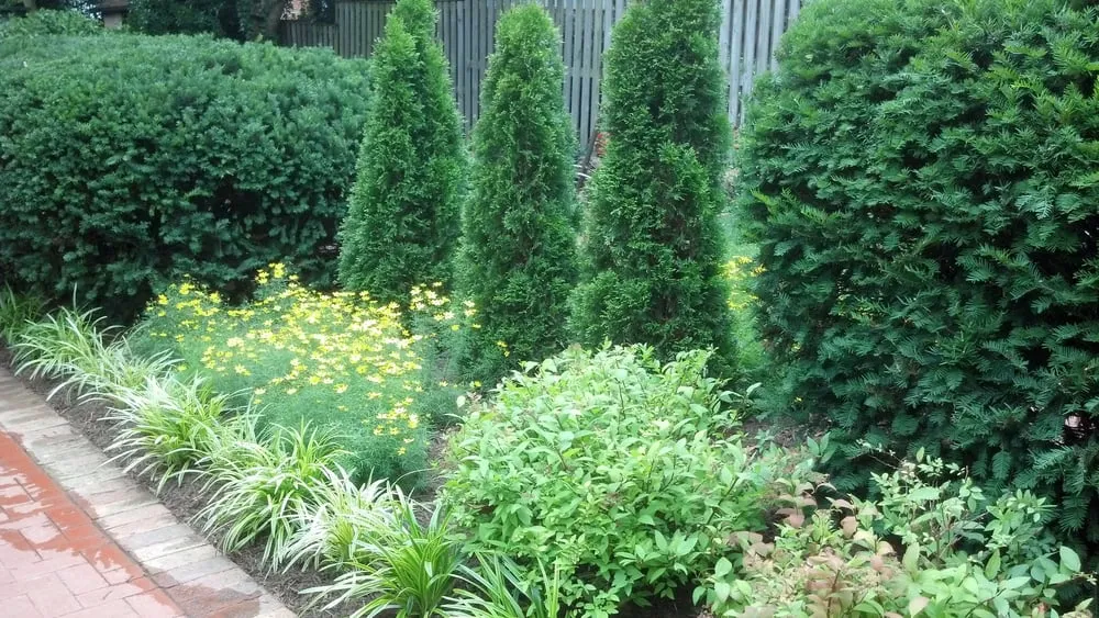 Top-rated lawn care service for beautiful yards across Boonsboro, MD - Ponds by Bee Landscaping