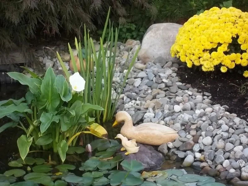 Professional garden landscaping in Boonsboro, MD by Ponds by Bee Landscaping