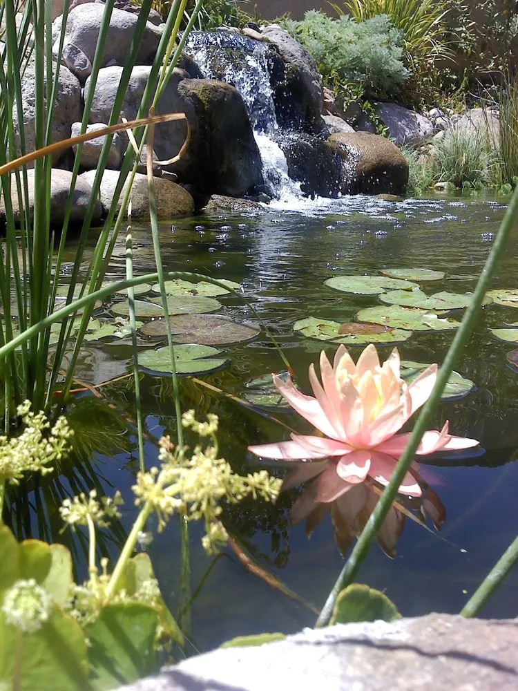 Top-rated lawn care service in Ivins, UT - Ponds, Lawns and Beyond