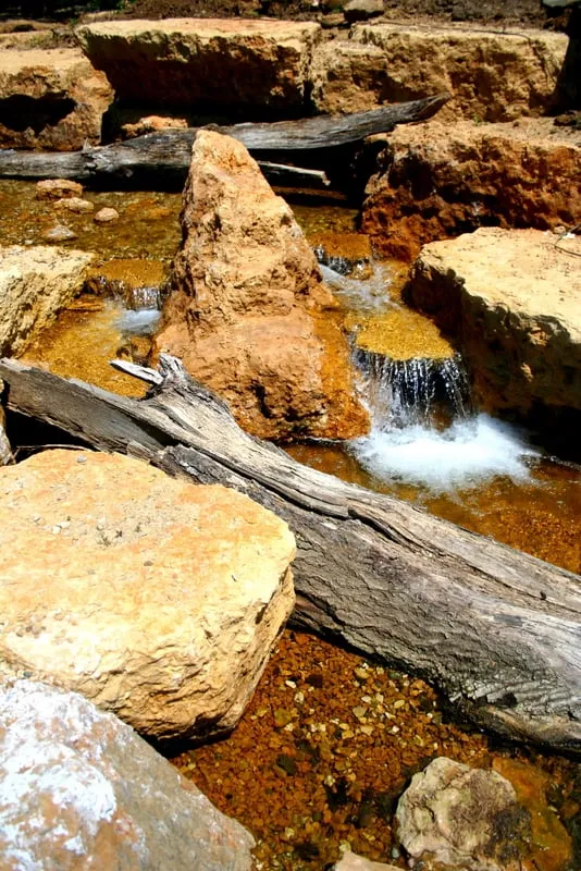 Trusted landscape design in Gilberts, IL - Ponds of Illinois