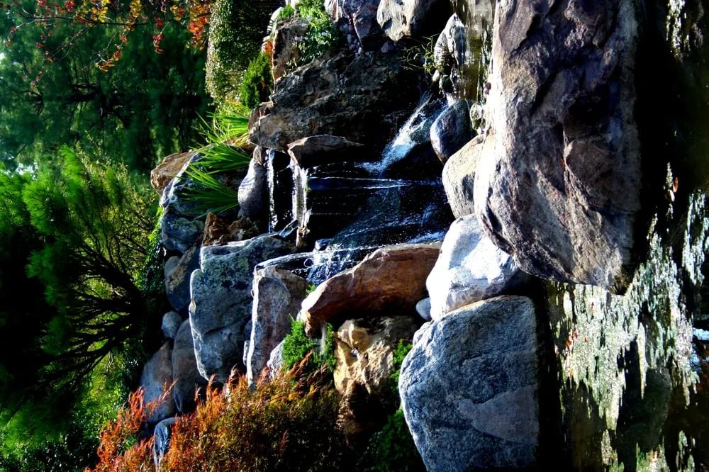 Professional yard maintenance for outdoor upgrades across Gilberts, IL - Ponds of Illinois