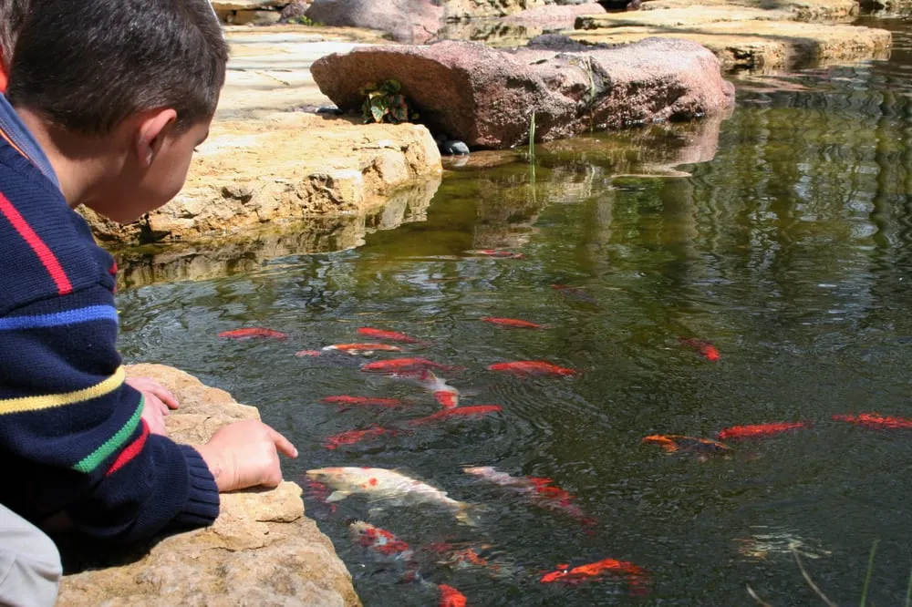 Custom landscape installation for homes across Gilberts, IL - Ponds of Illinois