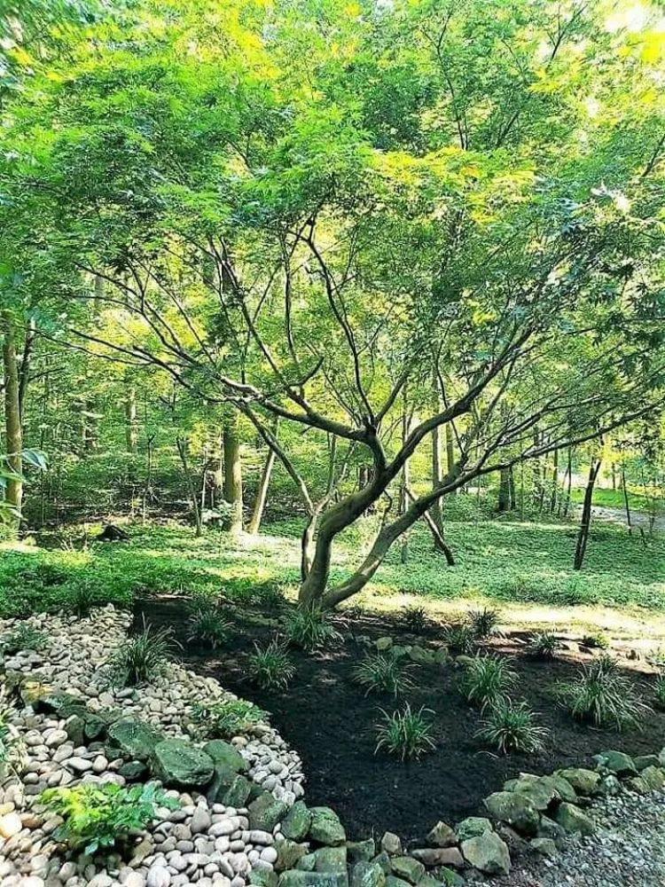 Reliable outdoor landscaping in Lebanon, PA by Pondscapes and Patios