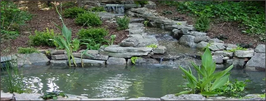 Affordable outdoor landscaping in Marietta, GA - Pondscapes Atlanta