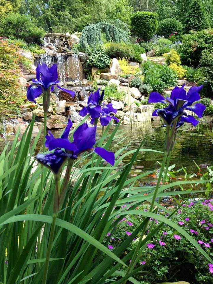 Trusted landscape installation with custom design in Pittsburgh, PA by Pondscapes