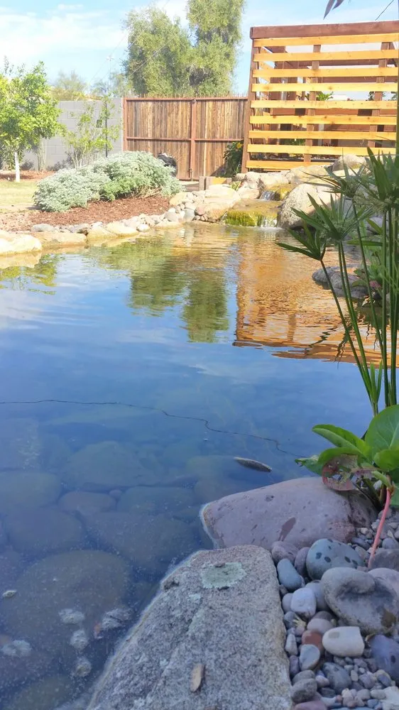 Trusted garden landscaping for year-round maintenance across Queen Creek, AZ - Pondscapes
