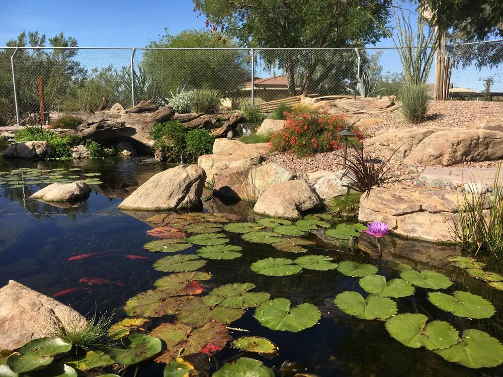 Affordable landscaping services in Queen Creek, AZ by Pondscapes