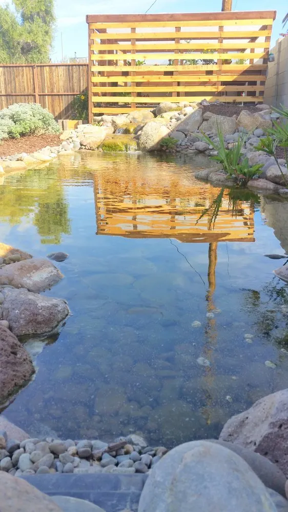 Trusted landscape design for beautiful yards in Queen Creek, AZ by Pondscapes